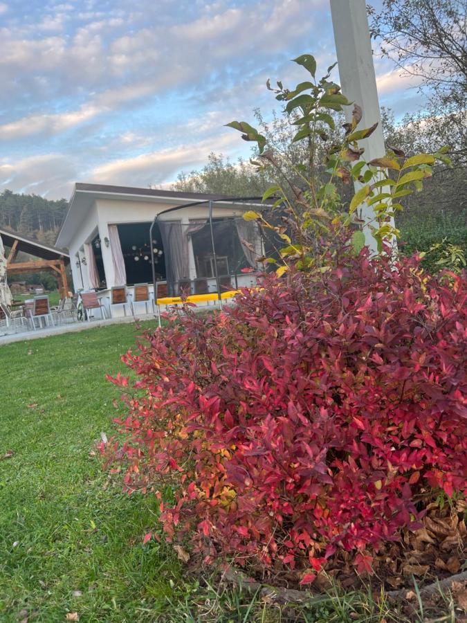 Pensiunea Baroc Dobirlau Dış mekan fotoğraf
