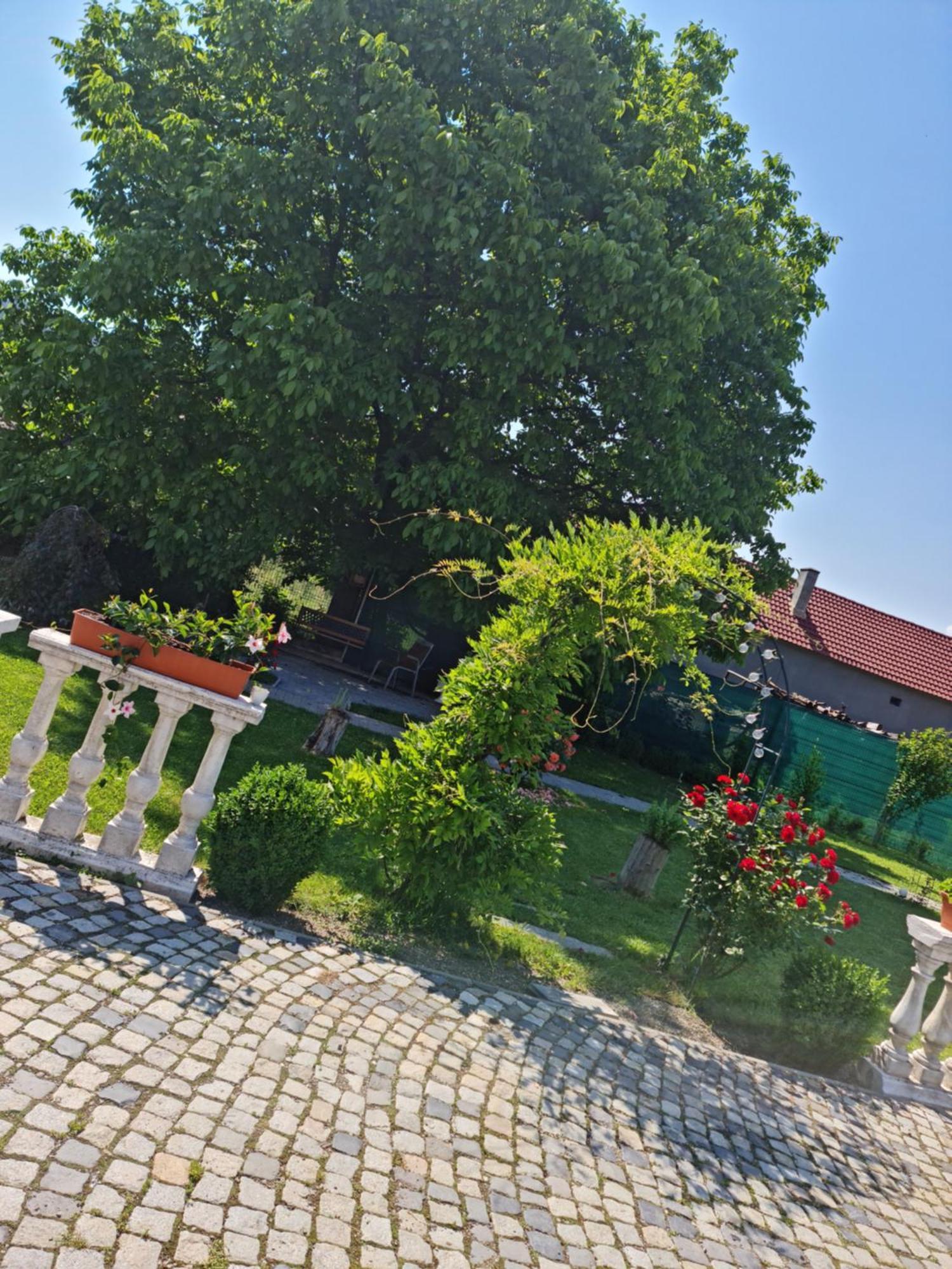 Pensiunea Baroc Dobirlau Dış mekan fotoğraf